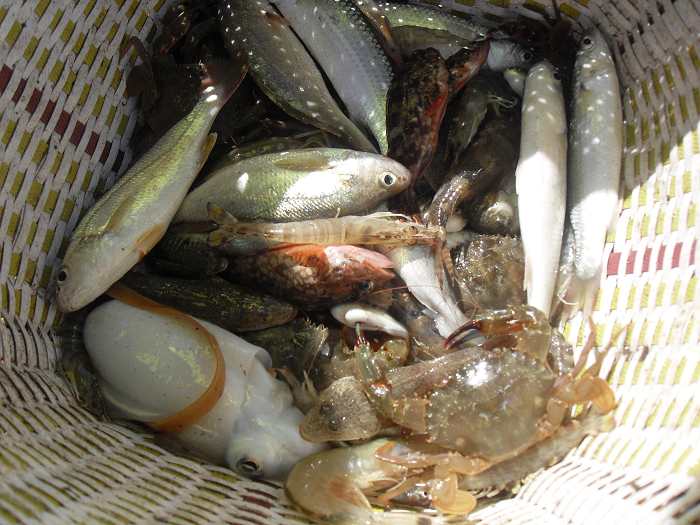 怡情踏浪沙镬岛