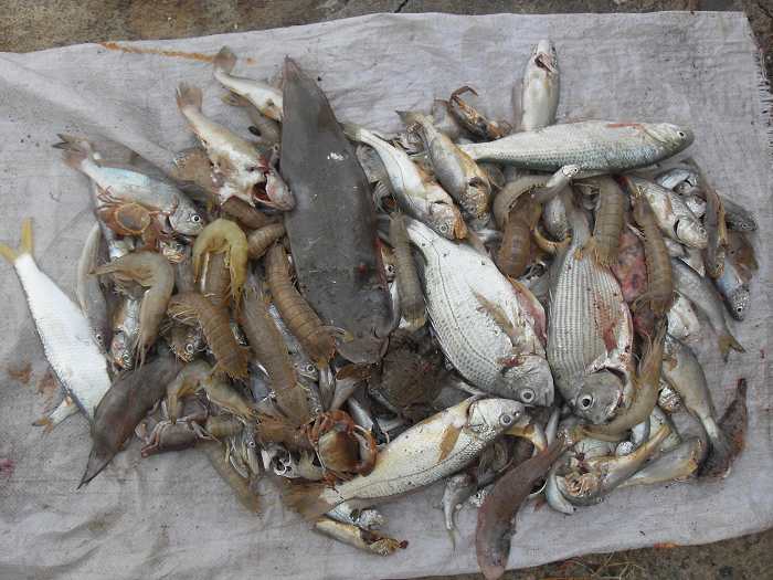 怡情踏浪沙镬岛