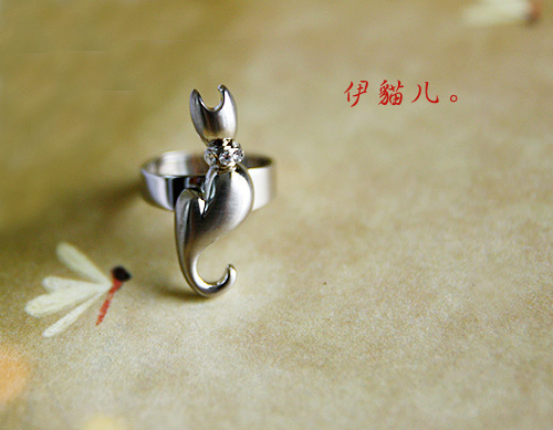 星。白天出来晒太阳