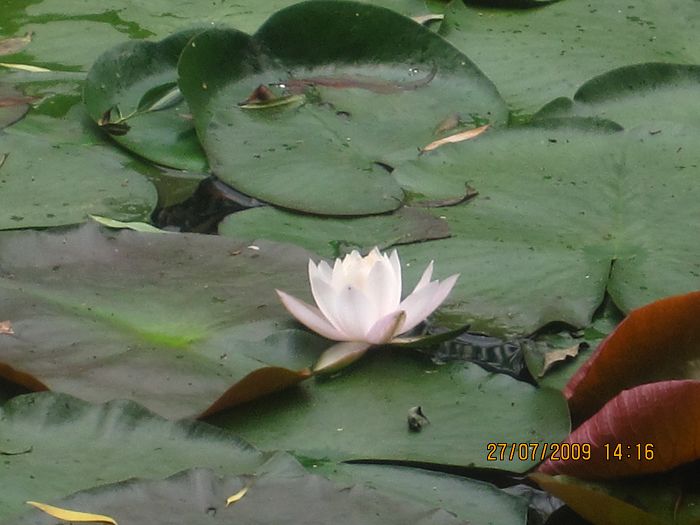 2009.香格里拉心灵之旅