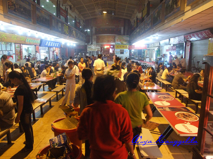 2009.香格里拉心灵之旅