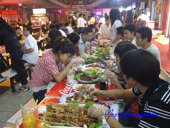 2009.香格里拉心灵之旅