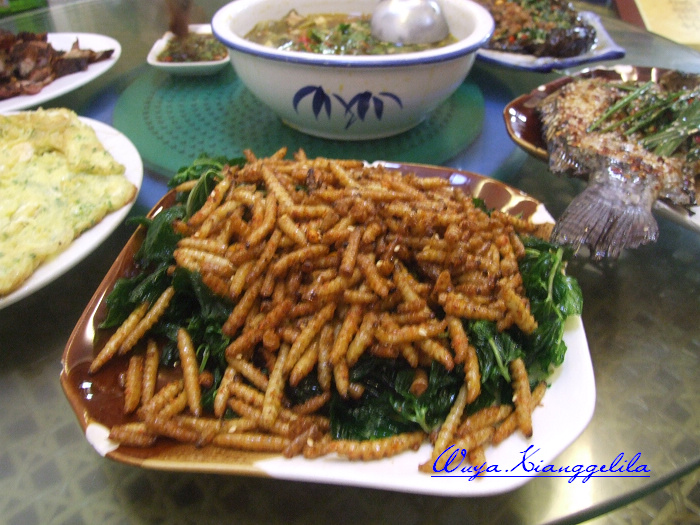 2009.香格里拉心灵之旅