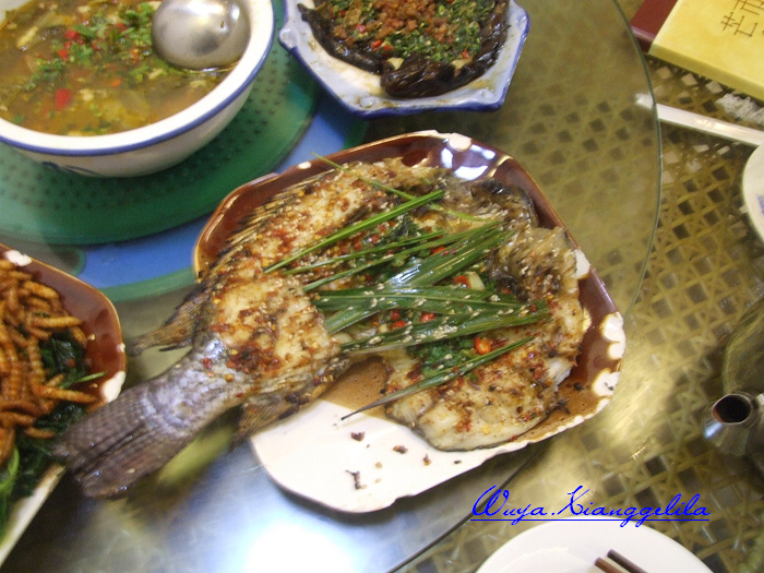 2009.香格里拉心灵之旅