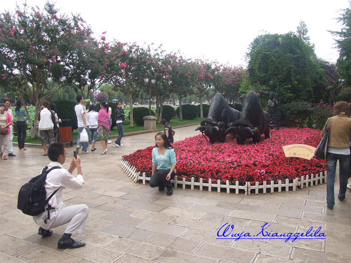 2009.香格里拉心灵之旅