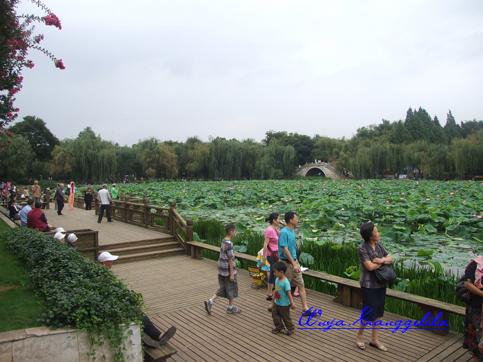 2009.香格里拉心灵之旅