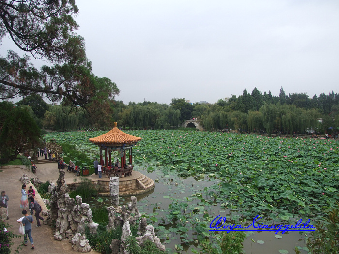 2009.香格里拉心灵之旅