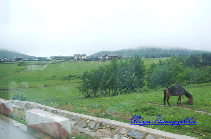 2009.香格里拉心灵之旅