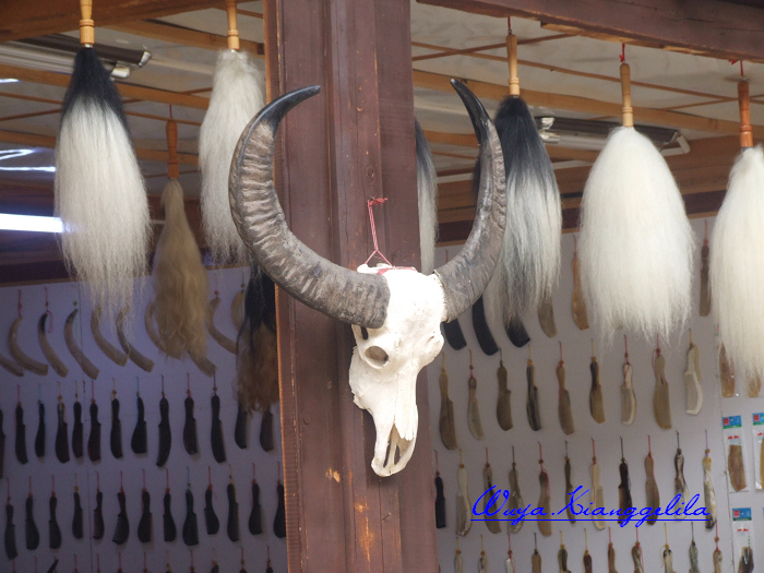 2009.香格里拉心灵之旅