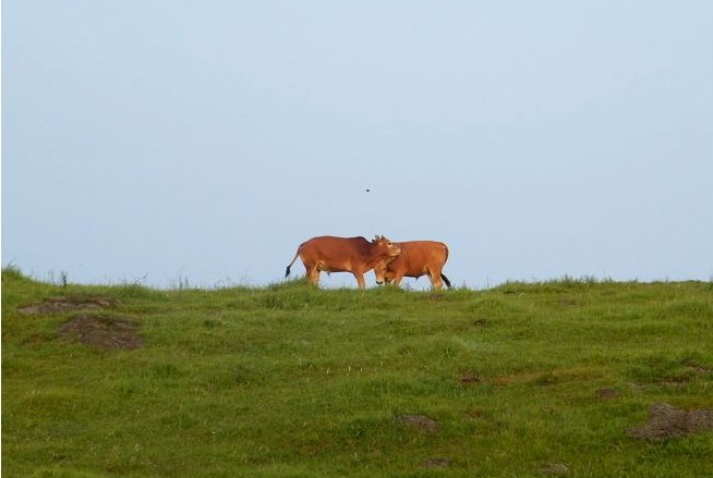 十八潭探索及兰田露营