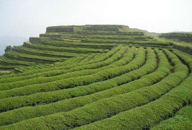 十八潭探索及兰田露营