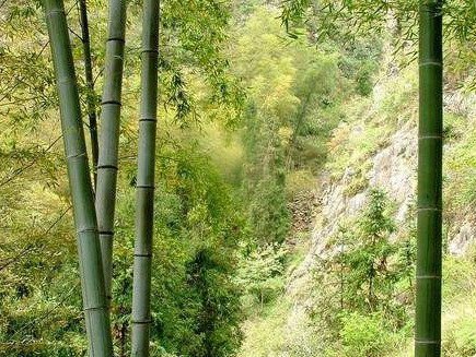 十八潭探索及兰田露营