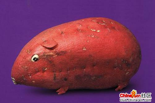 [转帖]当一个厨师无聊时会做些什么?