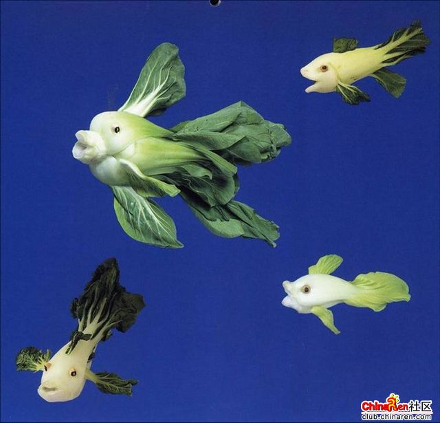 [转帖]当一个厨师无聊时会做些什么?