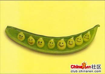 [转帖]当一个厨师无聊时会做些什么?