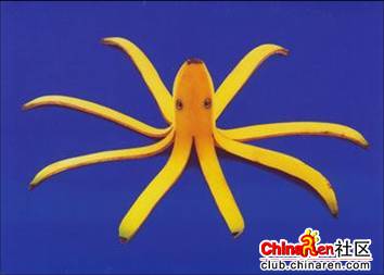 [转帖]当一个厨师无聊时会做些什么?