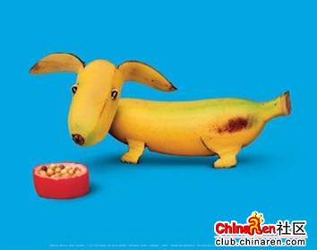 [转帖]当一个厨师无聊时会做些什么?