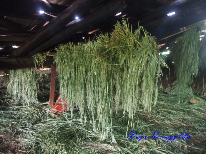 2009.香格里拉心灵之旅