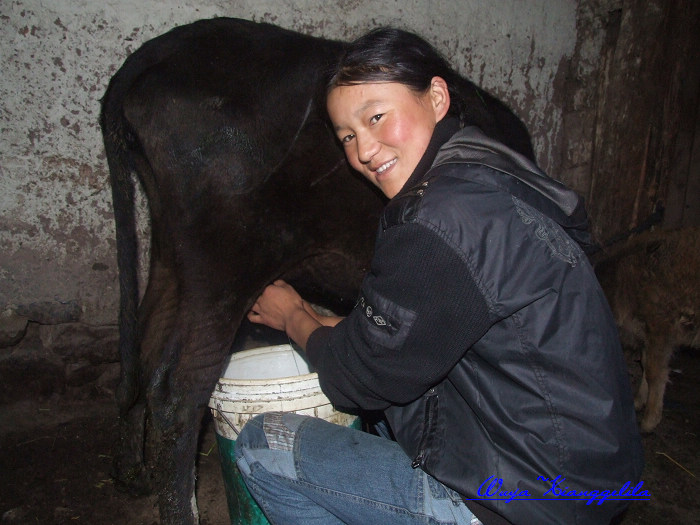 2009.香格里拉心灵之旅(有更新)