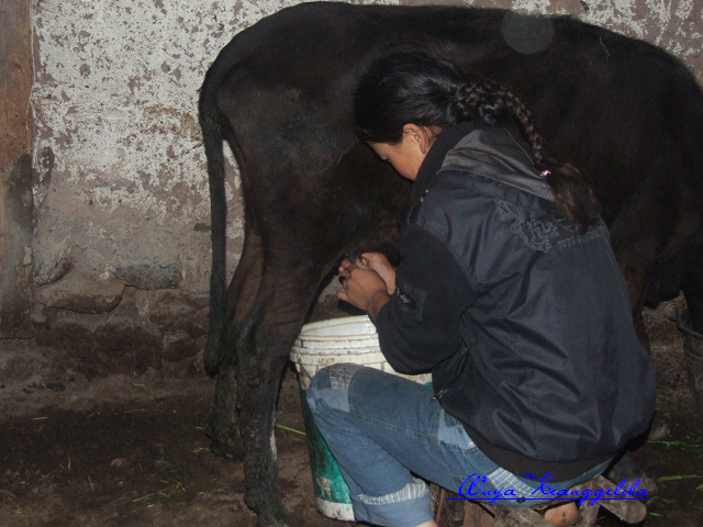 2009.香格里拉心灵之旅(有更新)