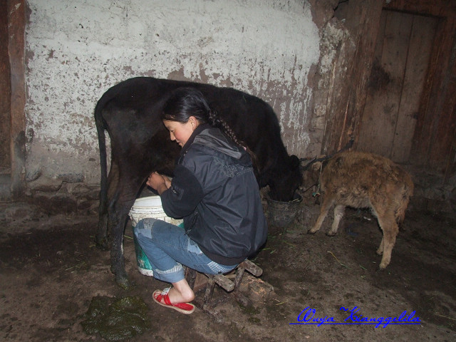 2009.香格里拉心灵之旅(有更新)