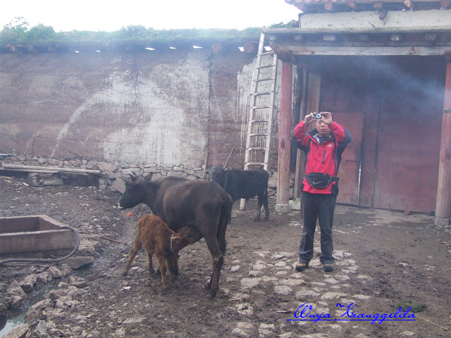 2009.香格里拉心灵之旅(有更新)