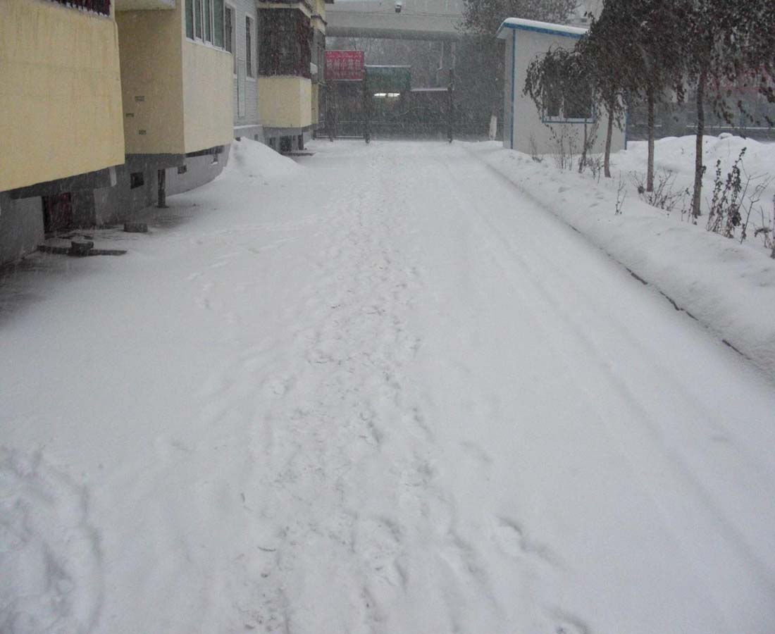 新疆的雪---小区楼下随手一拍