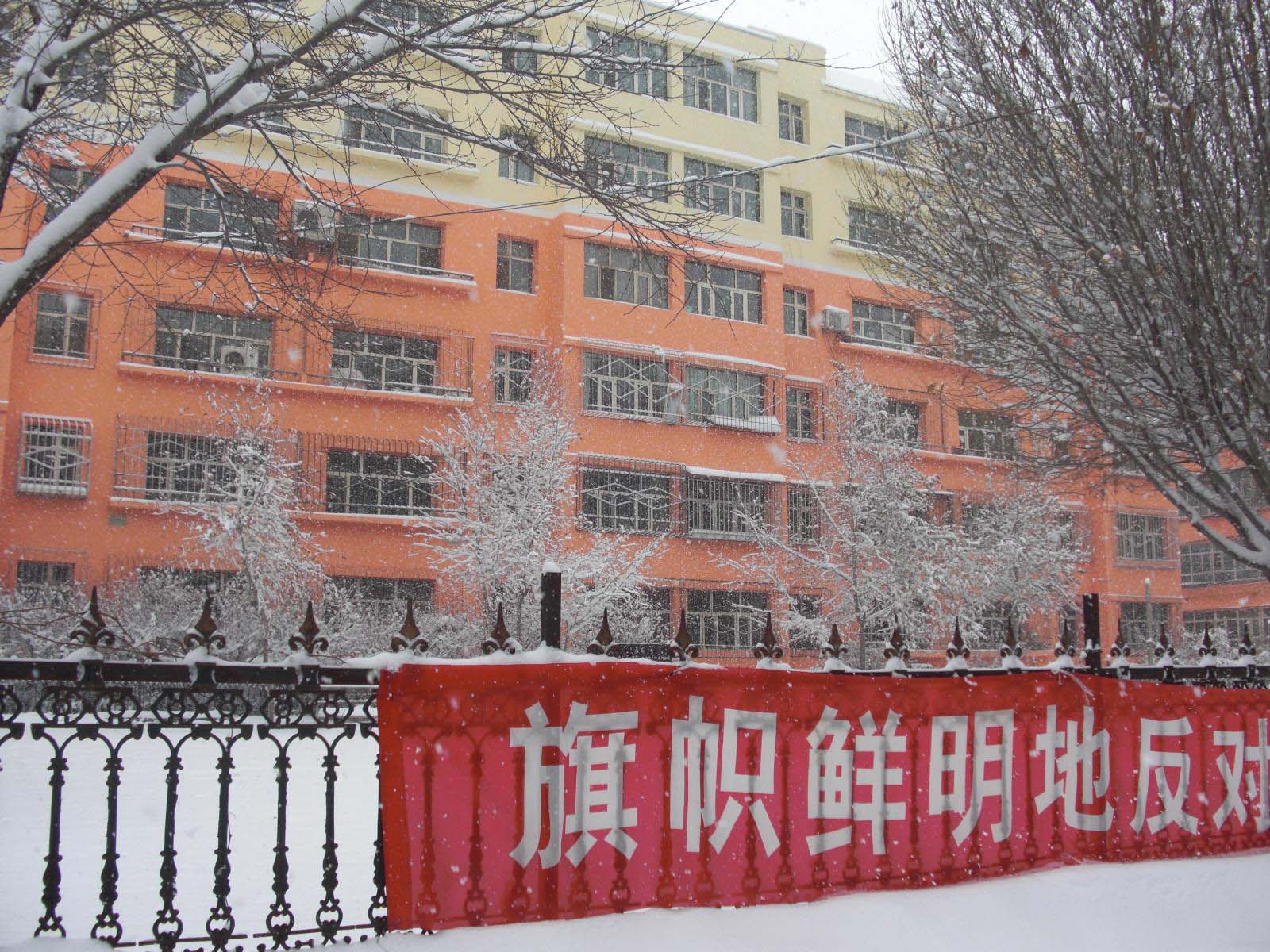 新疆的雪---小区楼下随手一拍