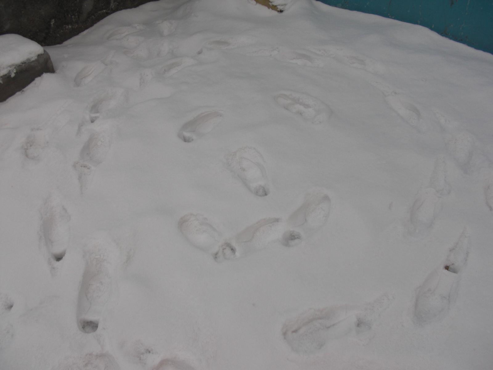 新疆的雪---小区楼下随手一拍