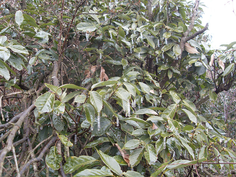 激情穿越湫水大峡谷