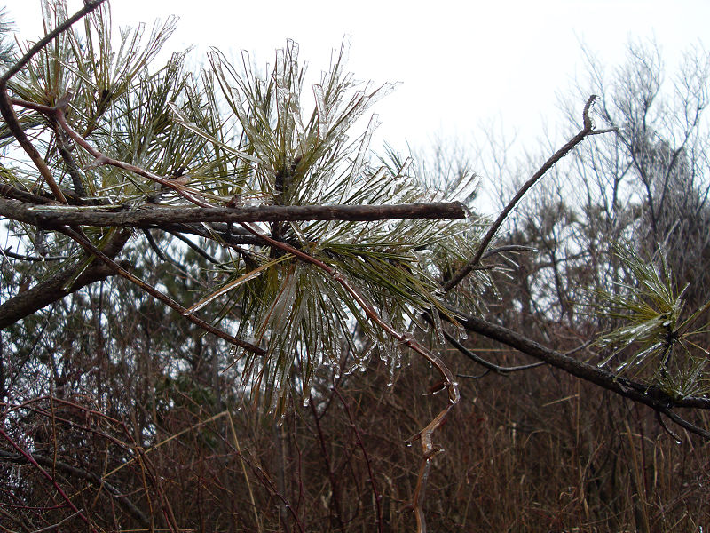 激情穿越湫水大峡谷