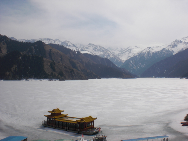 给你们来颗树~~~~