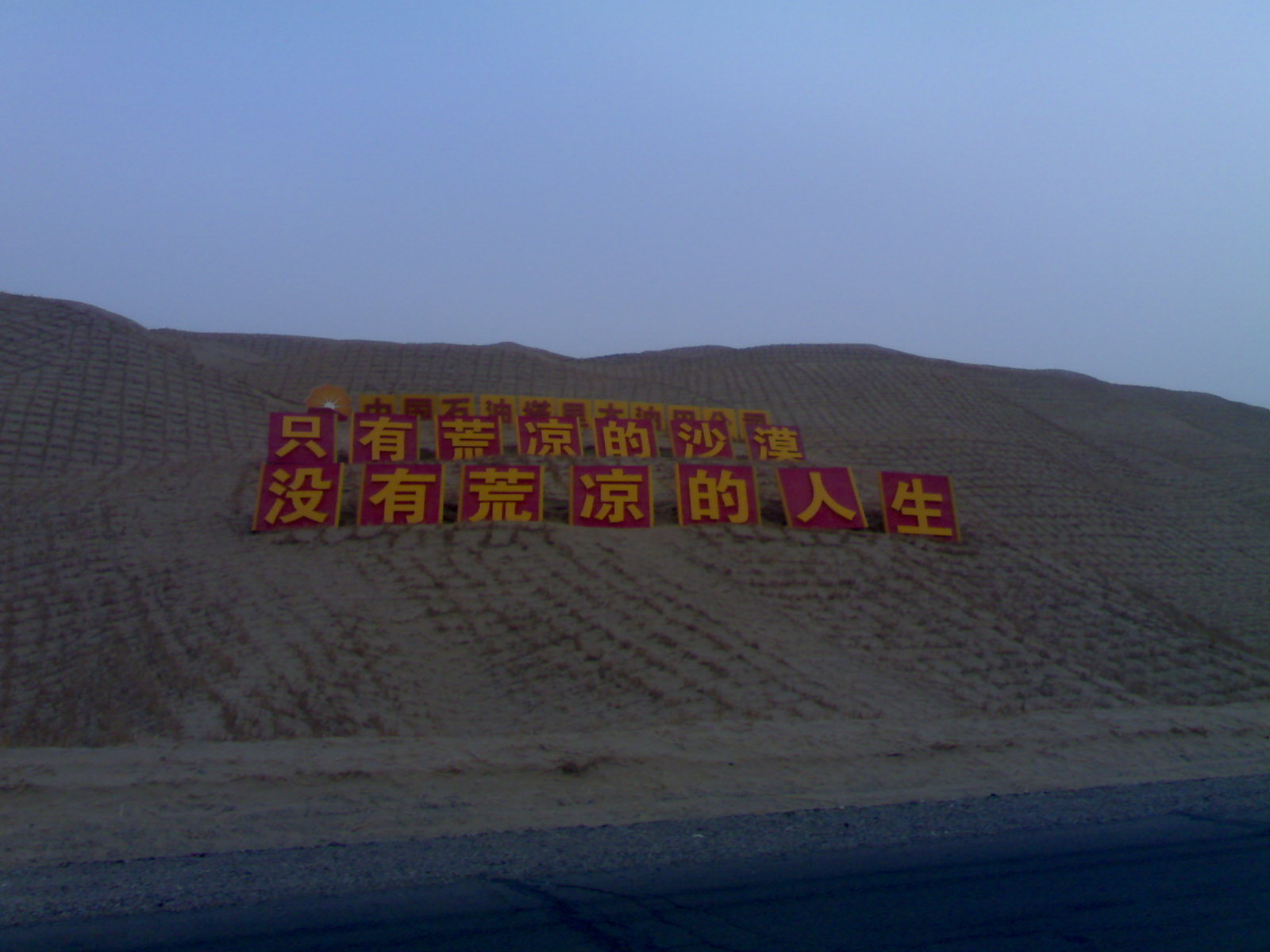 给你们来颗树~~~~