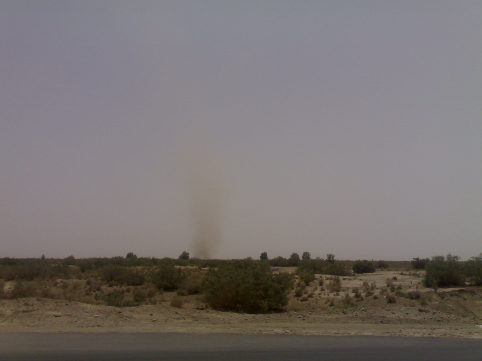 给你们来颗树~~~~