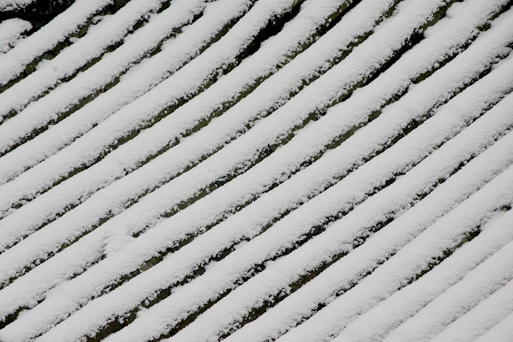 2010年第一场雪