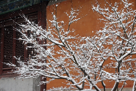 2010年第一场雪