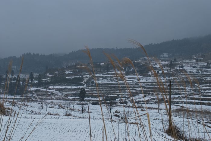 2010年第一场雪
