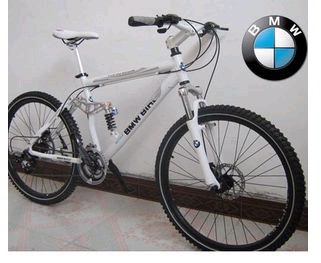 进入有车一族了