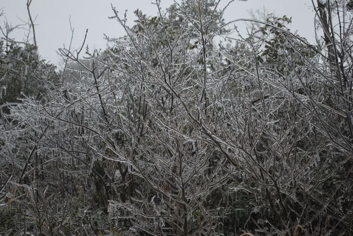 2010年春节苍山顶