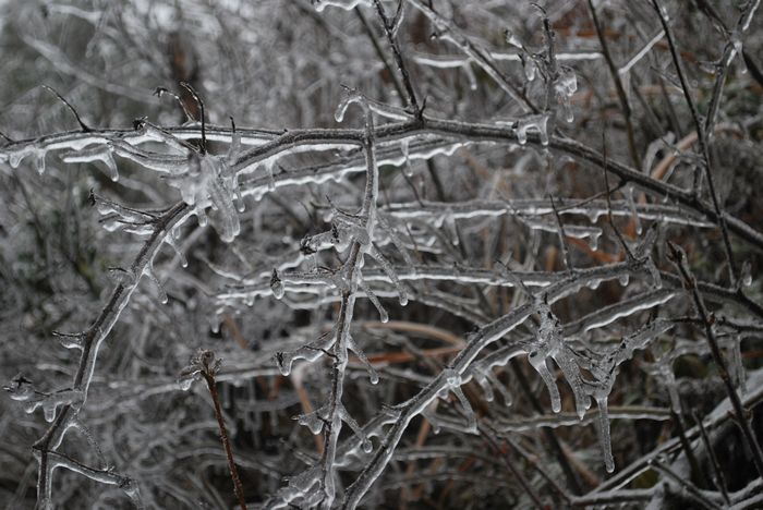 2010年春节苍山顶