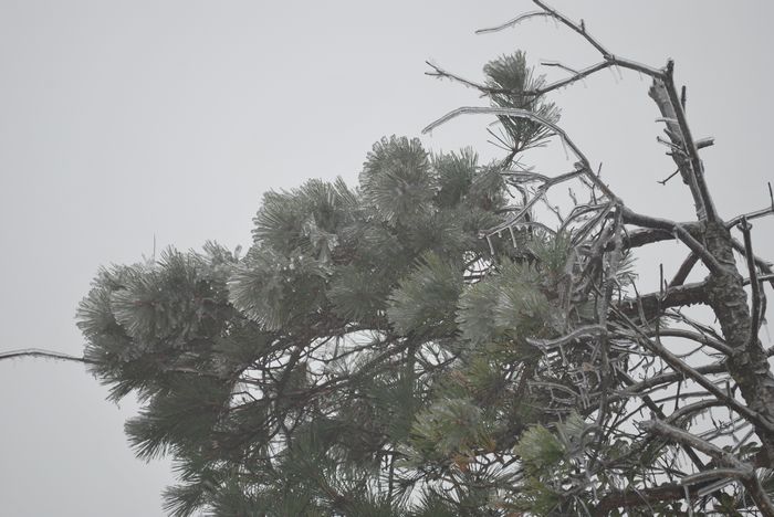 2010年春节苍山顶