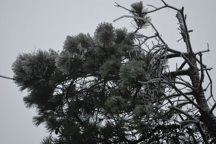 2010年春节苍山顶