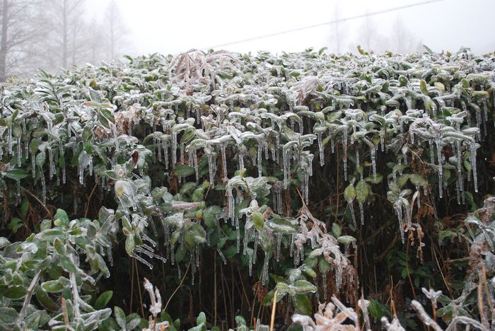 2010年春节苍山顶