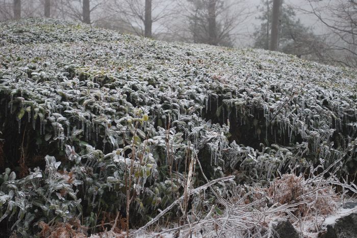 2010年春节苍山顶