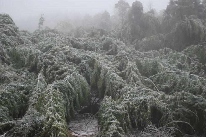 2010年春节苍山顶