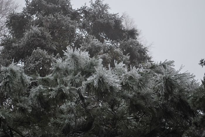 2010年春节苍山顶