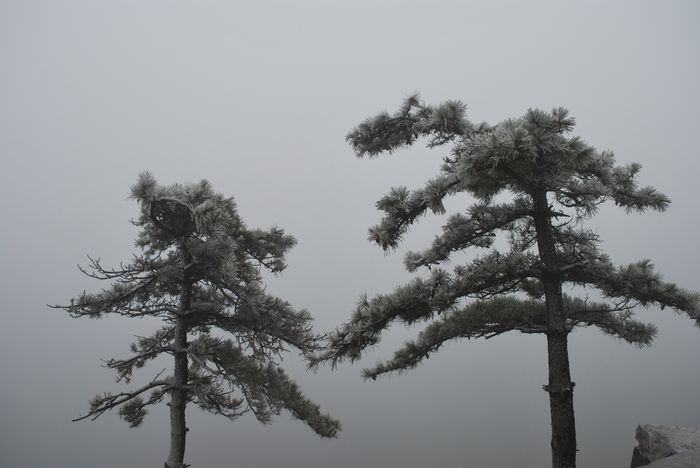 2010年春节苍山顶