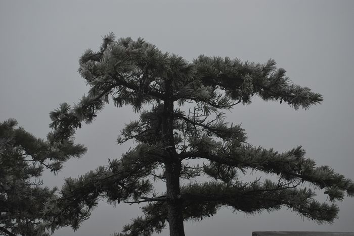 2010年春节苍山顶