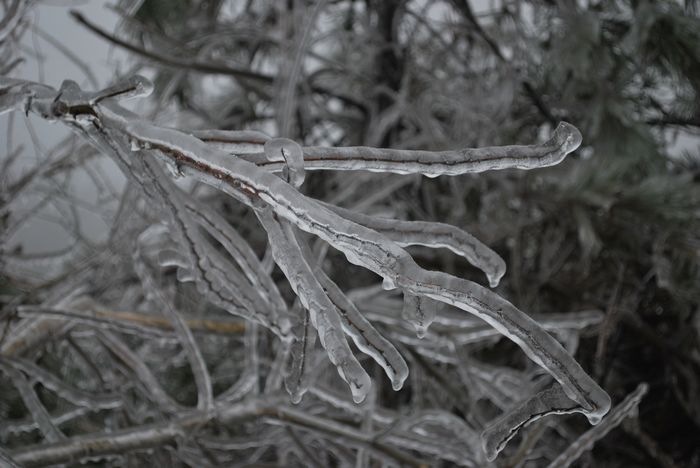 2010年春节苍山顶