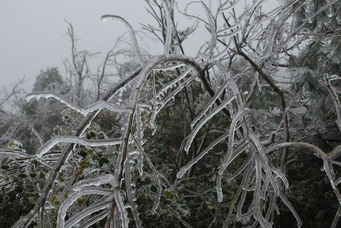 2010年春节苍山顶